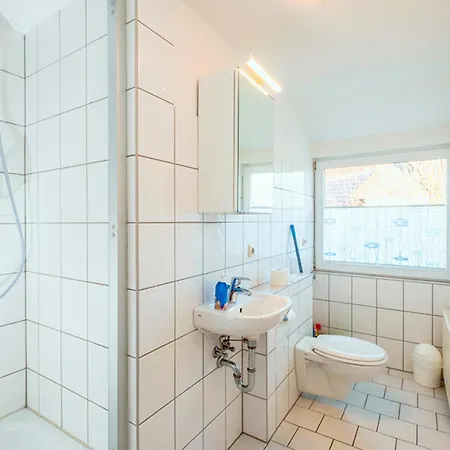 Sanddorn, Stranddistel Prerow