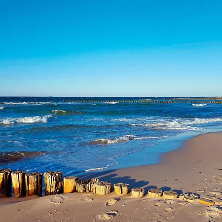 Lejlighed Sanddorn, Stranddistel Prerow