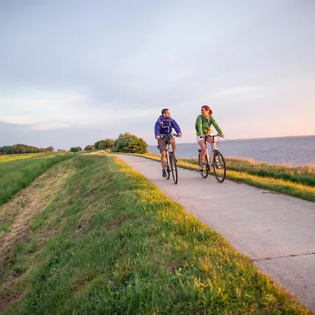 Sanddorn, Stranddistel Lejlighed *