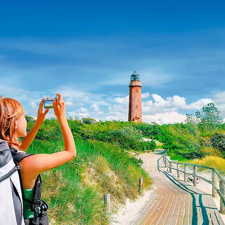 Sanddorn, Stranddistel * Prerow