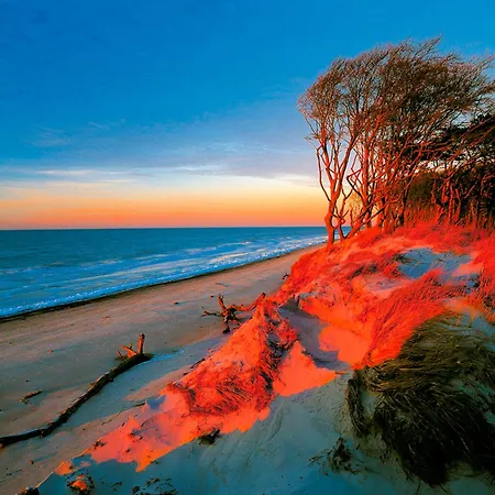 Sanddorn, Stranddistel Lejlighed